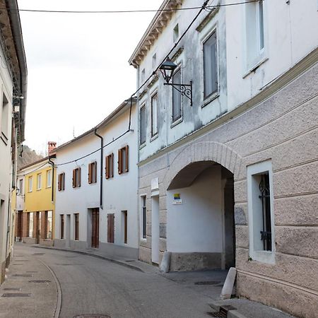 Oliver Street Apartment Vipava Bagian luar foto